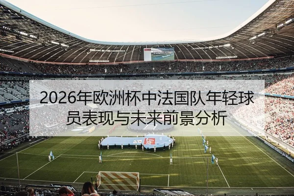 2026年欧洲杯中法国队年轻球员表现与未来前景分析