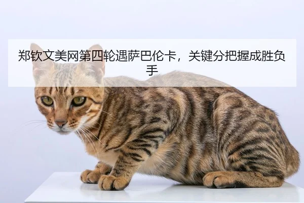 郑钦文美网第四轮遇萨巴伦卡，关键分把握成胜负手