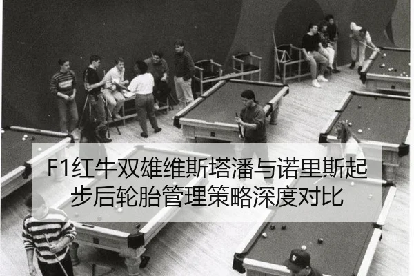hong-niu-shuang-xiong-wei-si-ta-pan-yu-nuo-li-si-qi-bu-hou-lun-tai-guan-li-ce-lve-shen-du-dui-bi-2-819.jpg