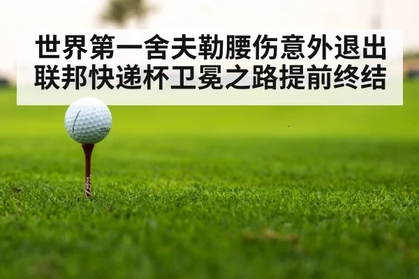 世界第一舍夫勒腰伤意外退出联邦快递杯卫冕之路提前终结